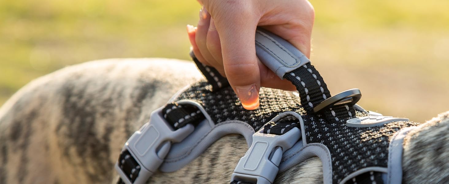 Шлейка безпеки для собак Huntboo, анти-пробіжна, світловідбиваюча з м'якою ручкою, регульована жилетка для маленьких собак, для прогулянок та тренувань (S), чорна, X-Small (упаковка з 1)