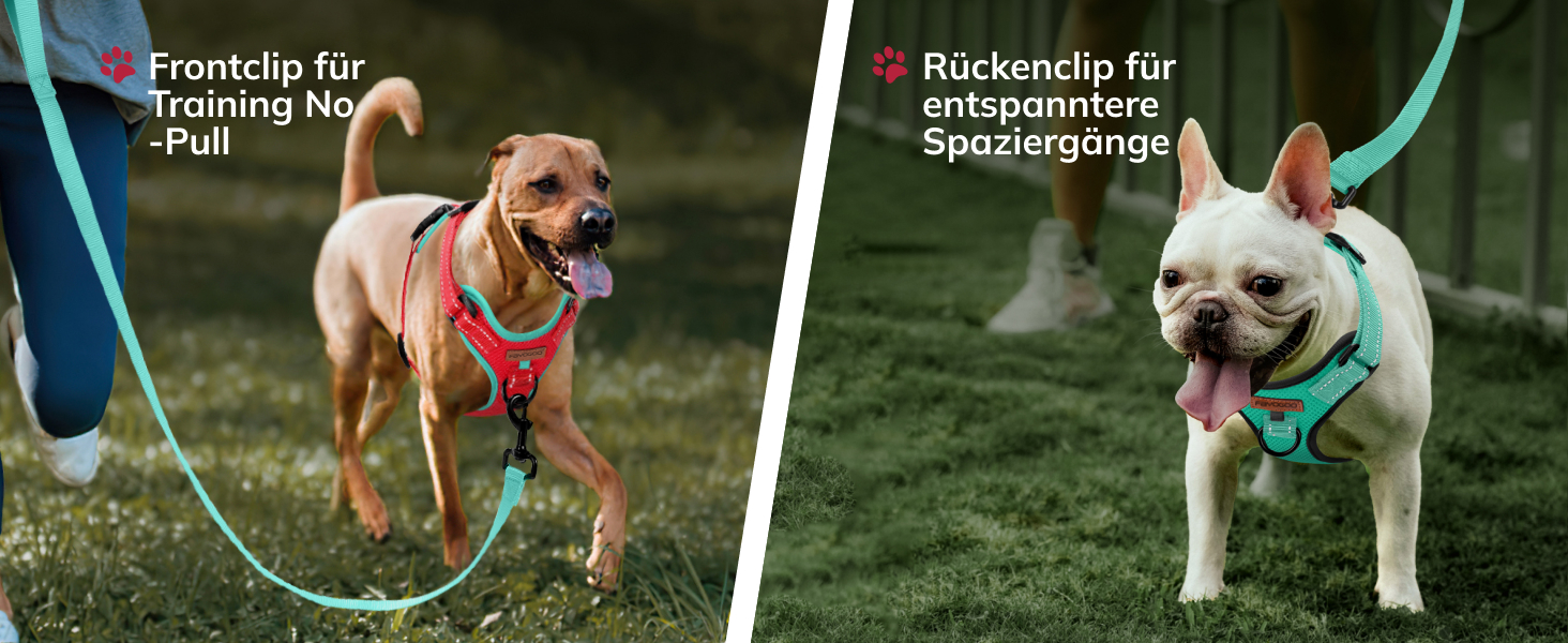 Шлейка для собак FAYOGOO, без чіпкості, з переднім кріпленням, світловідбиваюча, регульована, м'яка, з підкладкою, для малих, середніх та великих собак, для прогулянок (Блакитна, S)