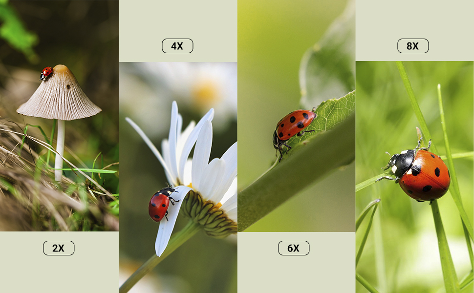 Фільтр JJC 58mm для макрозйомки (набір 4 шт. +2, +4, +8, +10) для Canon, Nikon, Sony, Olympus, Fuji DSLR камер