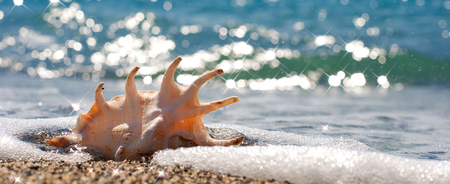 4-променевий зірковий фільтр Walking Way 58 мм - зірковий ефект, оптичне скло, регульований, алюмінієвий каркас