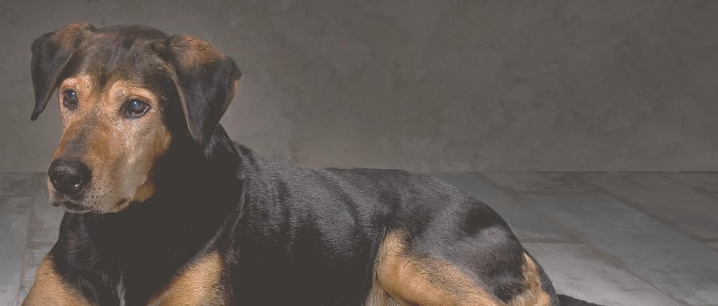 Килимок для собак Werner Christ з натуральної овечої вовни, 50 x 80 см, чорний