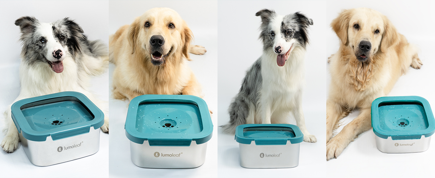 Миска для води для собак LumoLeaf, 4 літри, не протікає, з нержавіючої сталі, антиковзаюча, для подорожей, з фільтром, блакитна