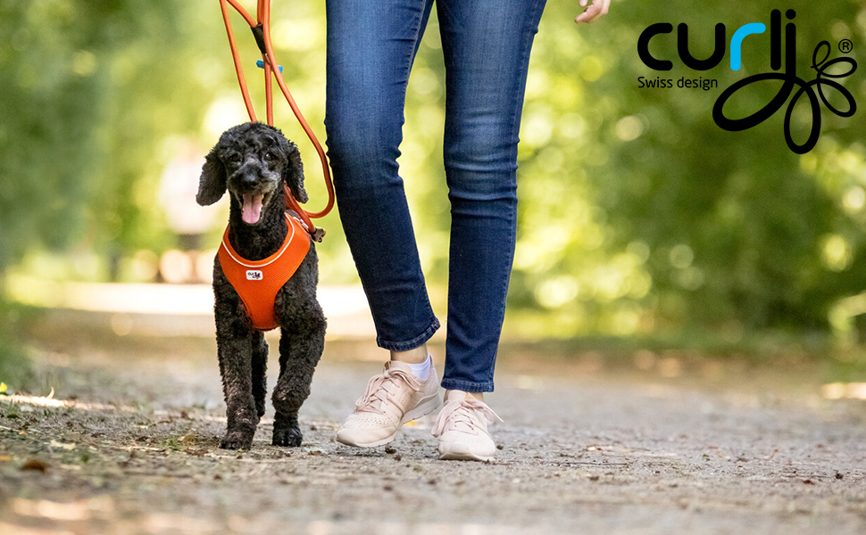 Шлейка для собак Air-Mesh Red XS, червона