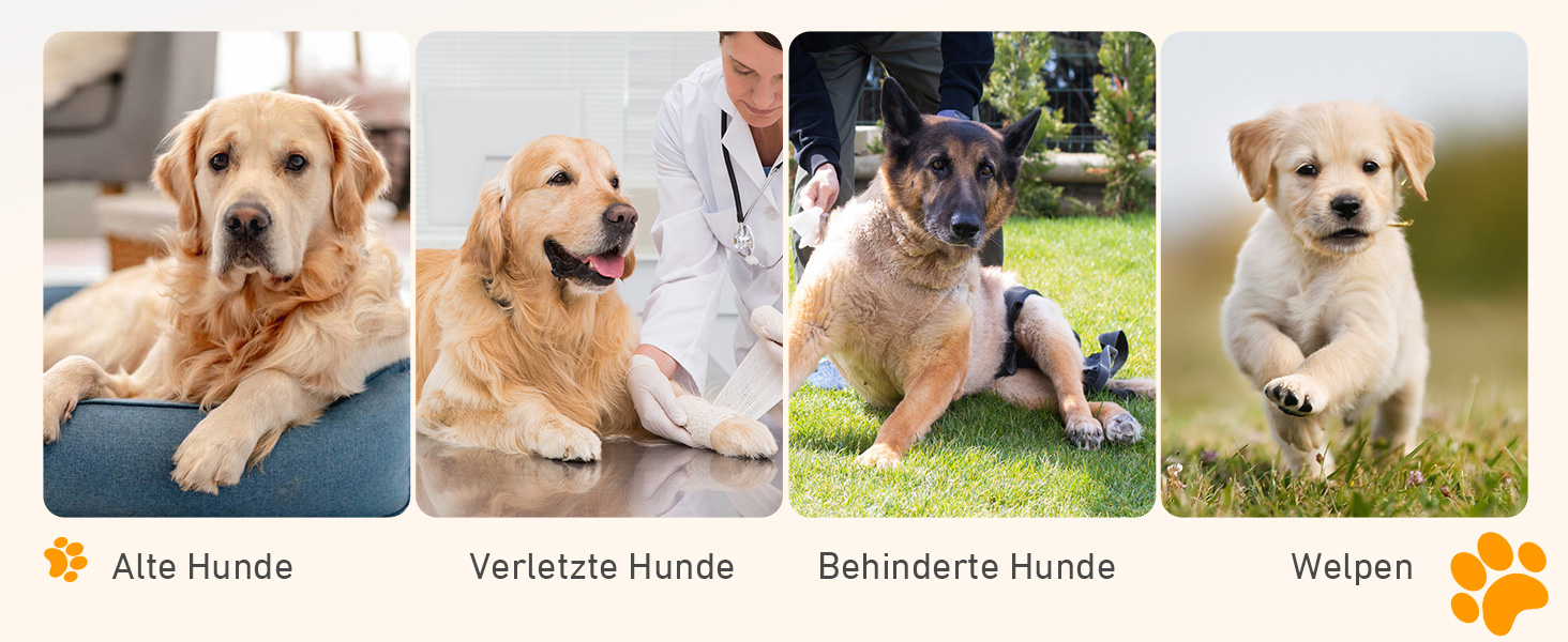 Сходи для собак у машину, складані, з антиковзким покриттям, для середніх та великих собак до 113 кг, 170x44 см