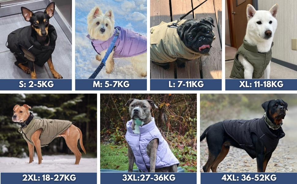Зимова куртка для собак Spark Paws Warmshield™, теплий фліс, водостійка, вітрозахисна, з відбивачами, для середніх і великих собак, лілова, розмір M (S: 2-5 кг)