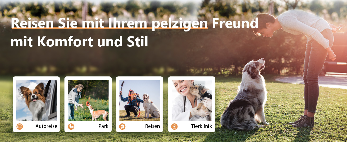 Транспортна переноска для собак та котів з колесами, сірого кольору. З телескопічною ручкою та ременем на плече.