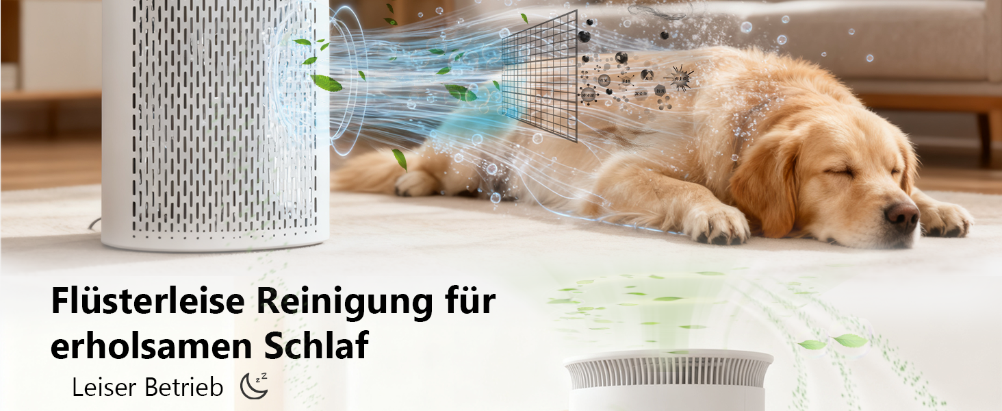 MEGAWISE Повітряний Очищувач для великих приміщень до 100 м², HEPA фільтр H13, датчик якості повітря, нічний режим
