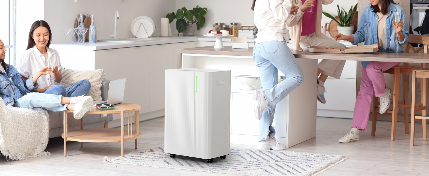 Електричний осушувач повітря EUHOMY 12л/24г, тихий та економічний, з відведенням води, автоматичним розморожуванням, 3 режими, для квартири 25м²/122м³