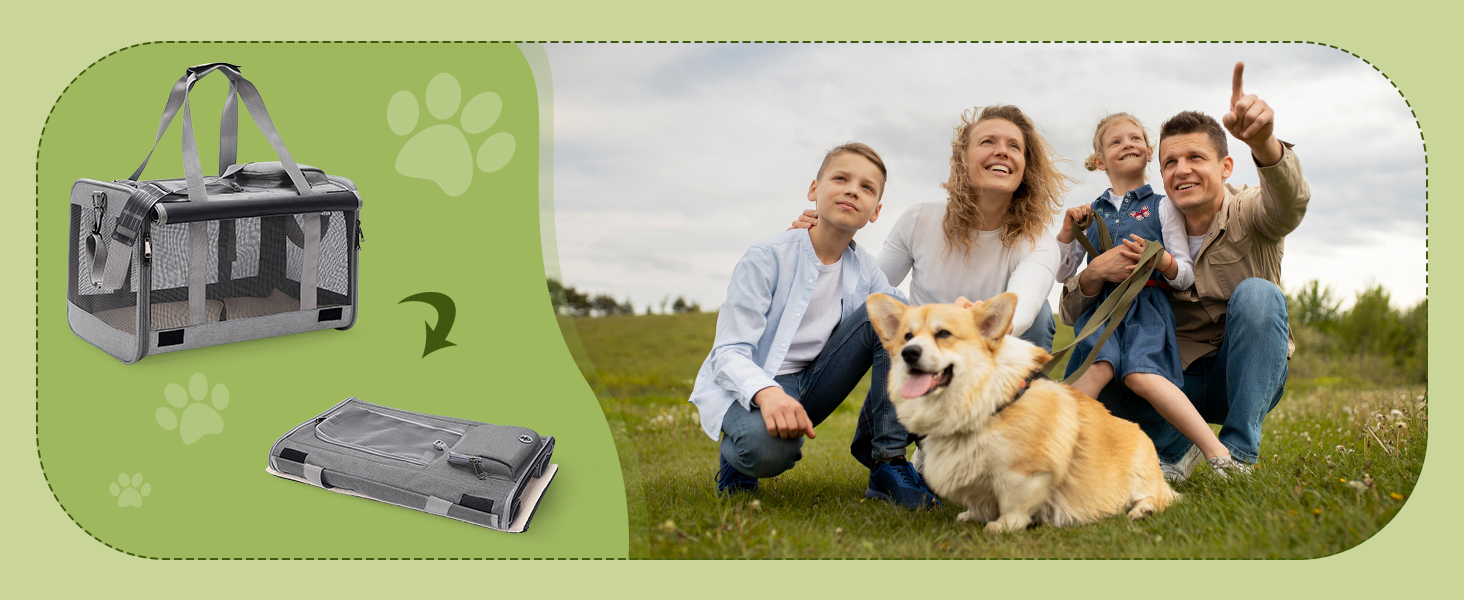 Транспортна сумка для котів та маленьких собак ALLSOPETS, до 9 кг, блакитна