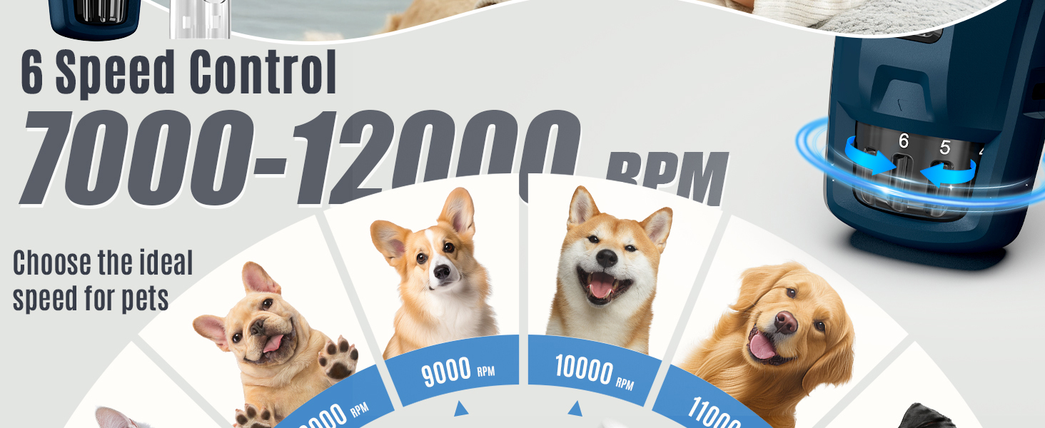 Електричний точило для собачих кігтів Casfuy Neue 6-Gang – 2 LED, тиха робота, 7 годин, для собак та котів, великих, середніх та малих порід, темно-синій