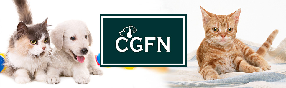 Станція для годування CGFN з іменем, персоналізована миска для собак, 2 нержавіючі миски, бамбук, підходить для маленьких та середніх порід, 2 миски
