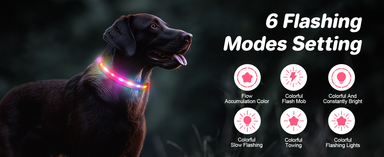 Світлодіодне нашийник для собак Feycig - USB, водонепроникний, 3 режими, регульований, для малих, середніх та великих собак (Рожевий, L(48-60см))