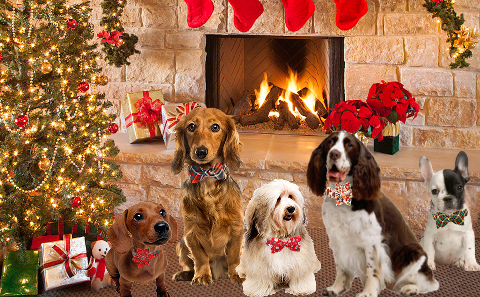 Нашийник для собак Lionheart Glory з візерунком клітинки, регульований м'який нашийник з метеликом, нашийник з бантиком для середніх собак, подарунок для домашніх тварин, червоно-зелена клітинка (1 шт.)