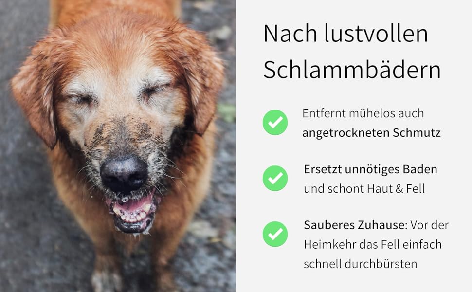 Щітка для собак Buddy Bruno® для короткошерстих порід, 100% натуральна щетина, для щоденного догляду за шерстю, преміум-щітка для собак та котів, з очищувачем, MADE IN DE