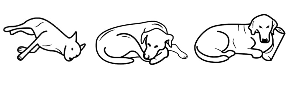 Софа для собак BingoPaw Luxus: велика ортопедична лежанка для собак XL з дихаючого водонепроникного шкірозамінника, сучасна лежанка для тварин з підголівником та дерев'яними ніжками, 120x74x40 см (колір: коричневий)