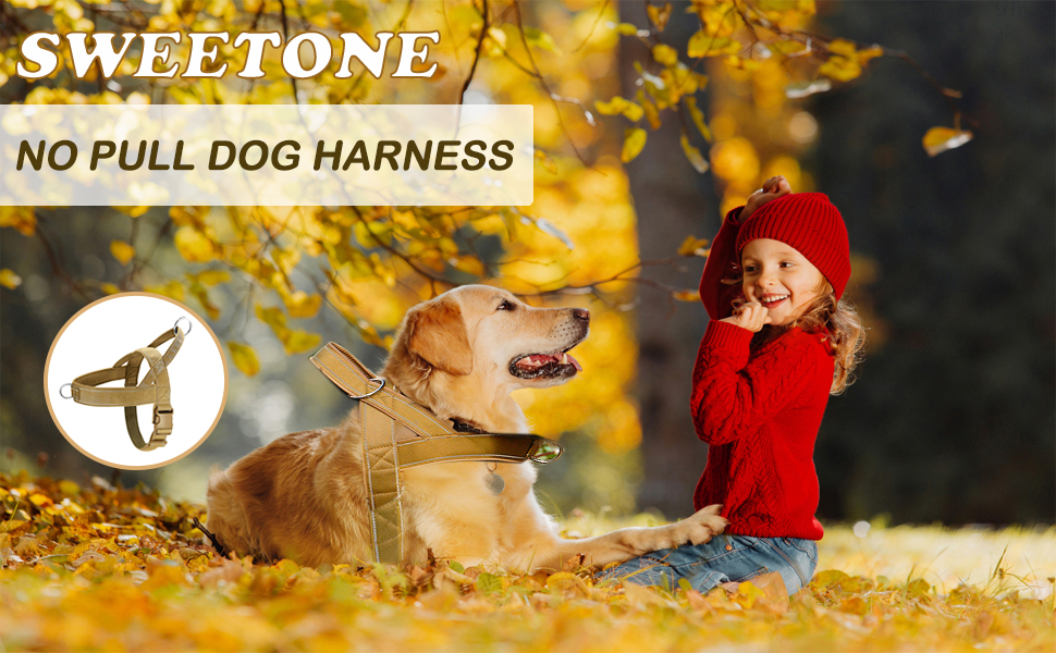 Шлейка для собак, анти-тяга, світловідбиваюча, для середніх та великих собак, регульована, м'яка, дихаюча, для прогулянок та бігу (L) Стиль1-L