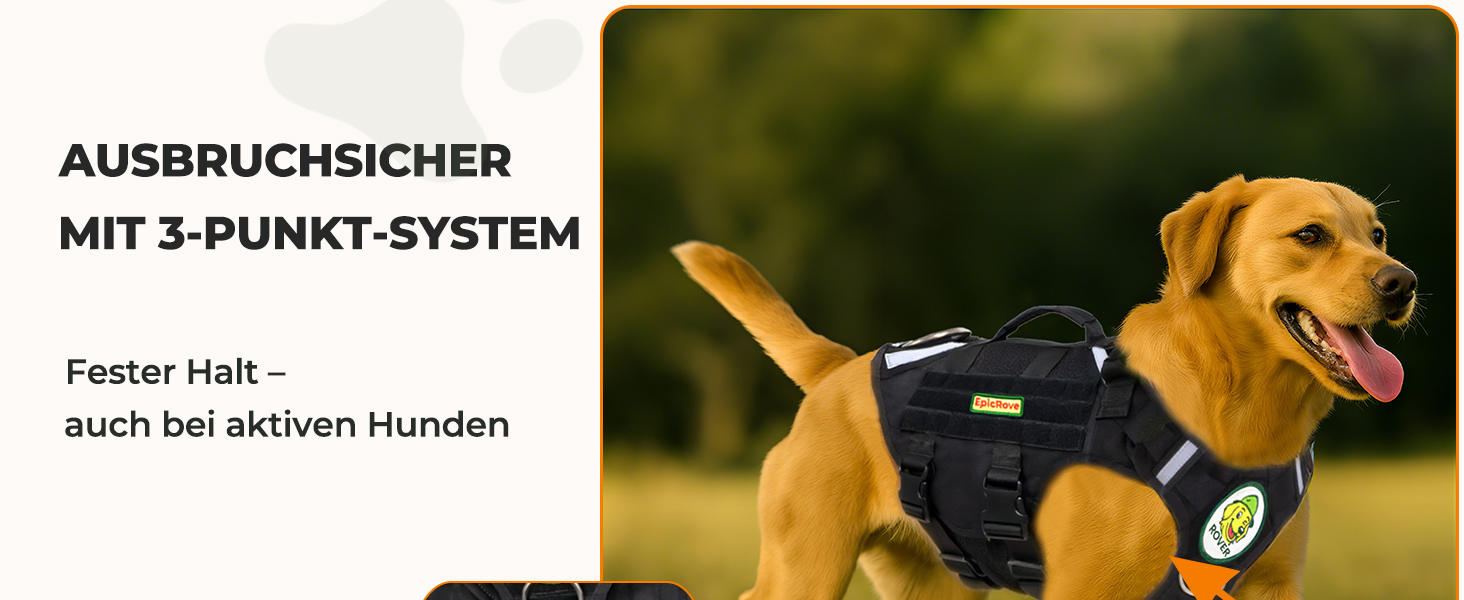 Нашийник для собак середніх та великих порід RoveVest Air: легкий, дихаючий, регульований, для прогулянок та активного відпочинку. Чорний, розмір M