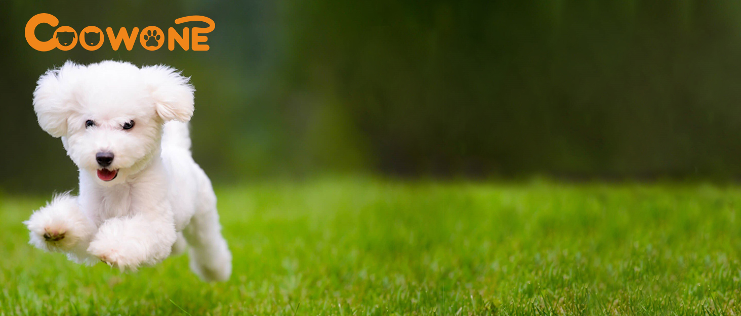 Сумка для ласощів для собак, велика місткість, з дозатором для пакетів, Leckerlibeutel