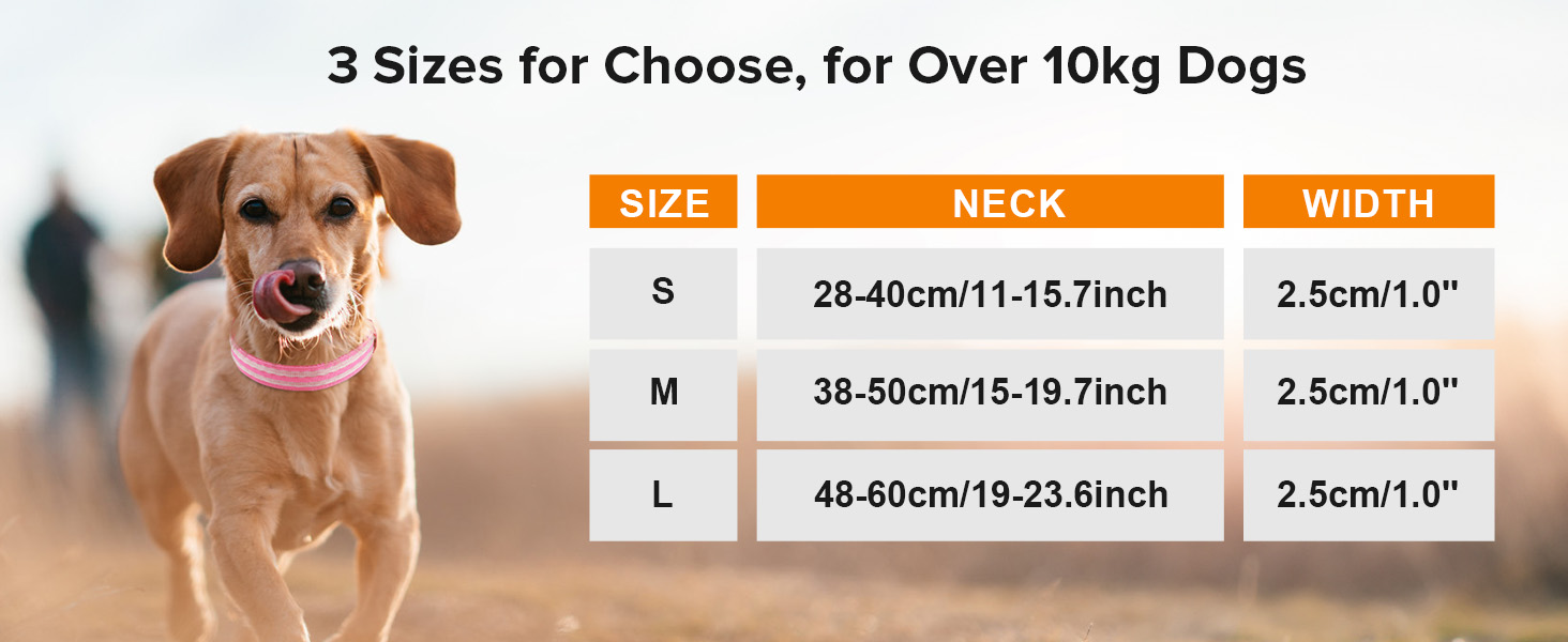 Світлодіодна нашийникова стрічка для собак, акумуляторна, 3 режими світіння, водонепроникна, зелена, L (48-60 см)