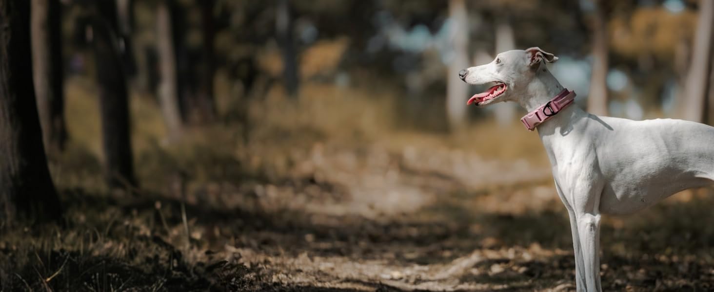 Нашийник для собак OneTigris, тактичний, XS (25-33 см), рожевий