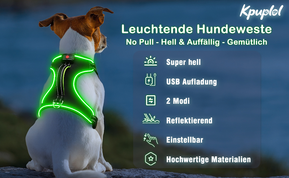 Світловідбиваючий нашийник для собак з LED, перезаряджається, шкіряний, зелений, для собак малого, середнього та великого розміру