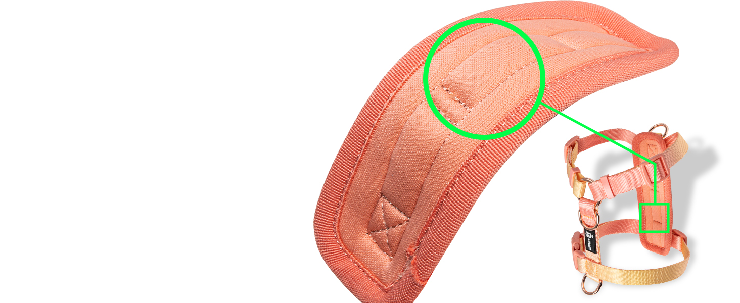 Шлейка для собак середніх порід TSPRO, не тягне, жовто-зелена градієнтна графіка, регульована, з швидкою застібкою, дихаюча та міцна (Розмір 2, обхват шиї 40.6–68.6 см, обхват грудей 40–70 см)