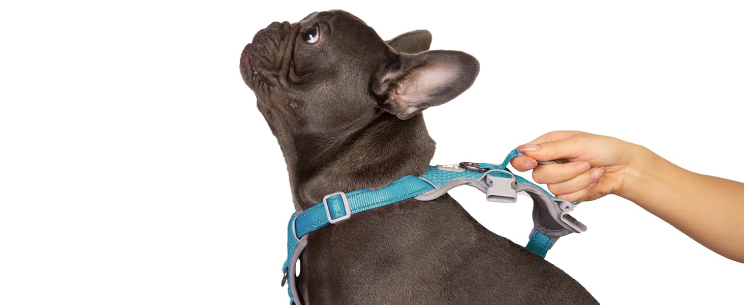 Шлейка безпеки для собак Huntboo, антизламна, зі світловідбиваючими елементами та м'якою ручкою, регульована жилетка для маленьких собак, для прогулянок та тренувань (S, Синій, X-Small, упаковка з 1)