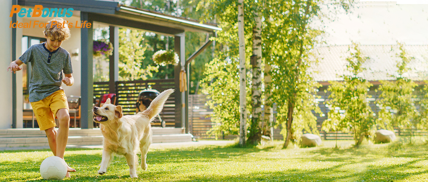 Складані миски для собак PetBonus, 2 шт. Силіконові миски для води та корму для собак, чорний та червоний (600 мл)