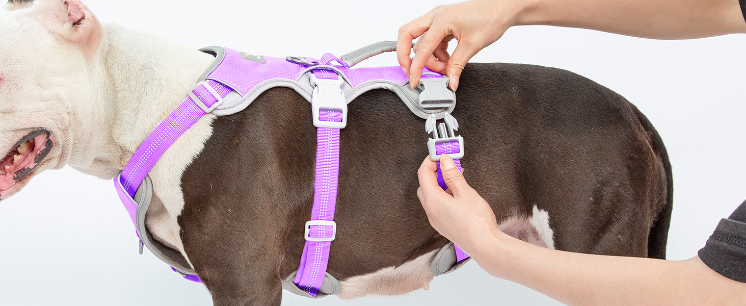 Нашийник для собак Huntboo, великих порід, анти-вислизання, світловідбиваючий, водонепроникний, регульований, для прогулянок та бігу (L, фіолетовий лаванда)