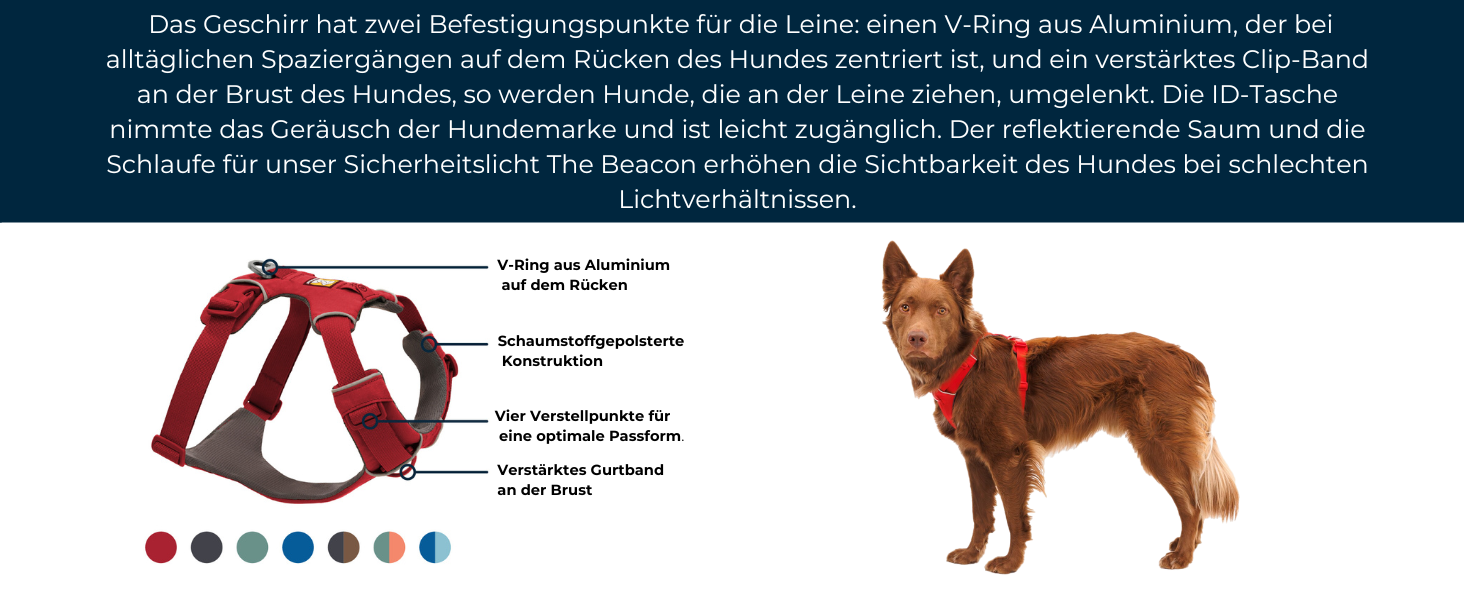 Шлейка для собак Ruffwear Front Range, регульована, з відбиваючими елементами, комфортна, для прогулянок та бігу, 2 точки кріплення, Spring Mountains M