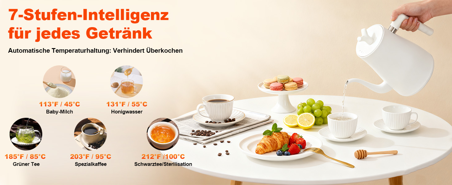 Електричний чайник-гозек Schwanenhals 1L, 1000W, регулювання температури 45-100°C, з підігрівом та захистом від перегріву