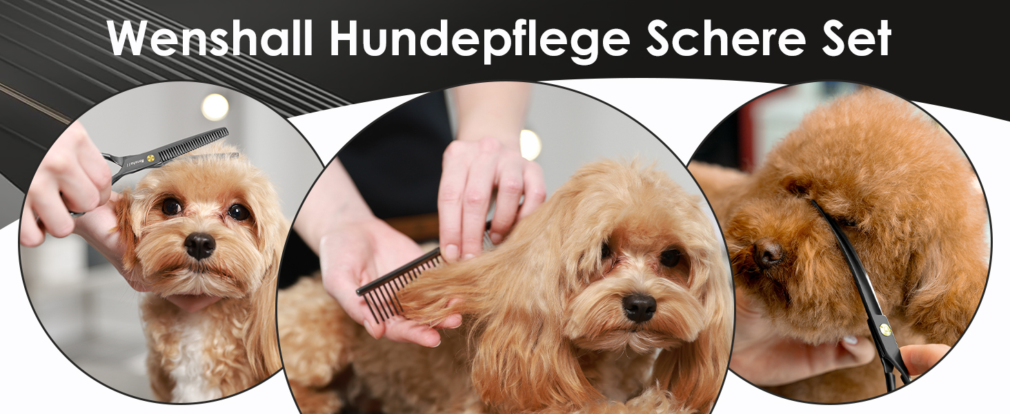 Набір професійних ножиць для грумінгу собак 5шт (прямі, вигнуті, для розрідження), чорний