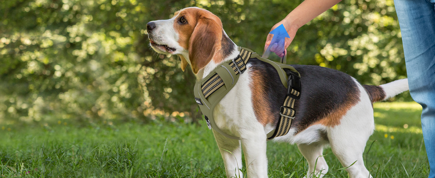 Шлейка для собак середніх порід Funfox, анти-тяга, з ручкою та світловідбиваючими смугами, без коміра, військовий зелений (M)