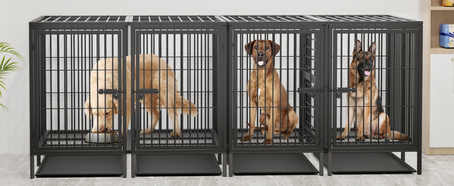 Кіяж для собак BingoPaw XXXL: міцна переносна клітка-вольєр для великих собак, 130x100x100 см, з подвійним доступом та піддоном