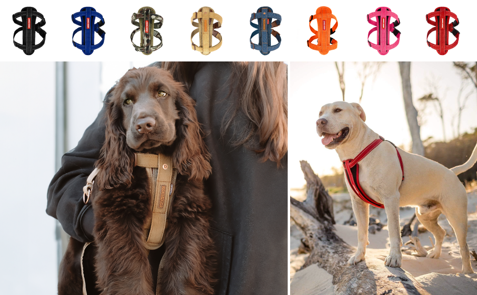 Шлейка для собак EzyDog Chest Plate – безпечна шлейка з адаптером для пасків – світловідбиваюча, з м'якою підкладкою, для собак маленьких, середніх та великих порід (L, Чорний)