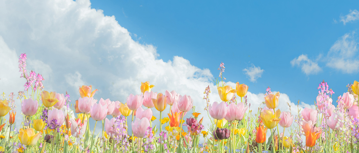 Набір для копчення коктейлів та віскі з 4 дерев'яними стружками, ретро-набір для створення димчастих напоїв, ідеальний подарунок для батька, чоловіка та любителів коктейлів