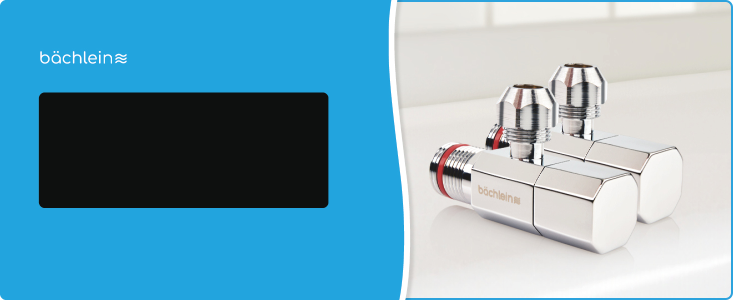 Кухонний змішувач Bächlein Plivo з нержавіючої сталі – одноручний, поворотний вилив, масивний дизайн, для кухні