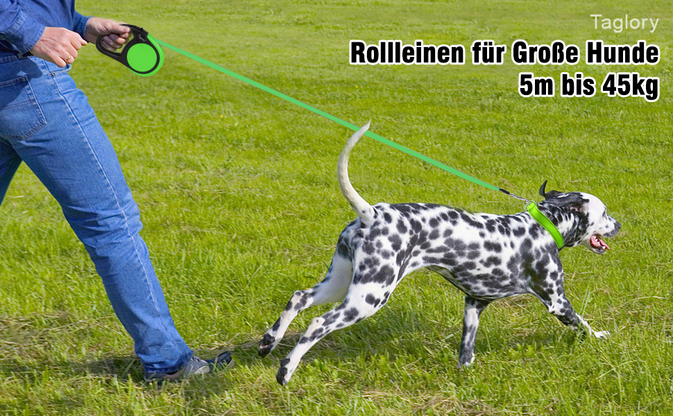 Висувна поводок для собак Taglory, 5м, для середніх та великих собак до 45кг, з надійним гальмом та антиковзним руків'ям