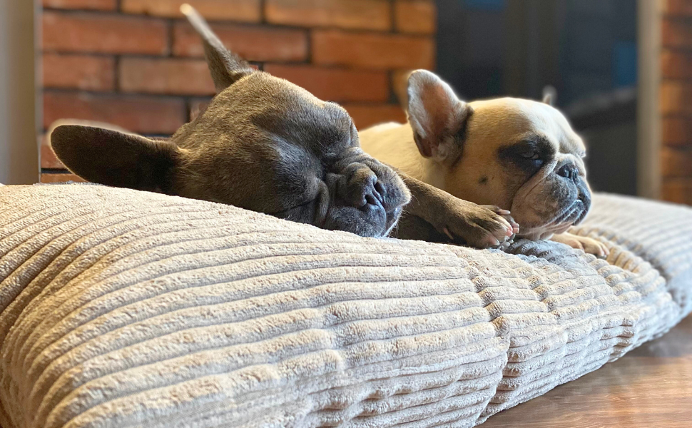 4L Textil ZOE - М'яке собаче ліжко з тканини Corduroy, 60x50 см, бежеве (смужки)