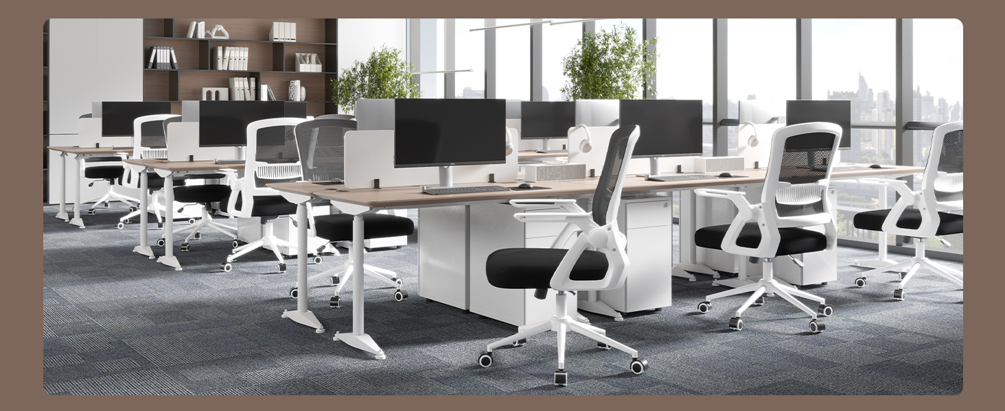 Офісний стіл Naspiro Ergonomischer Bürostuhl: регульований, з сітчастою спинкою та підлокітниками, з підтримкою попереку, для дому та офісу (чорний/білий)