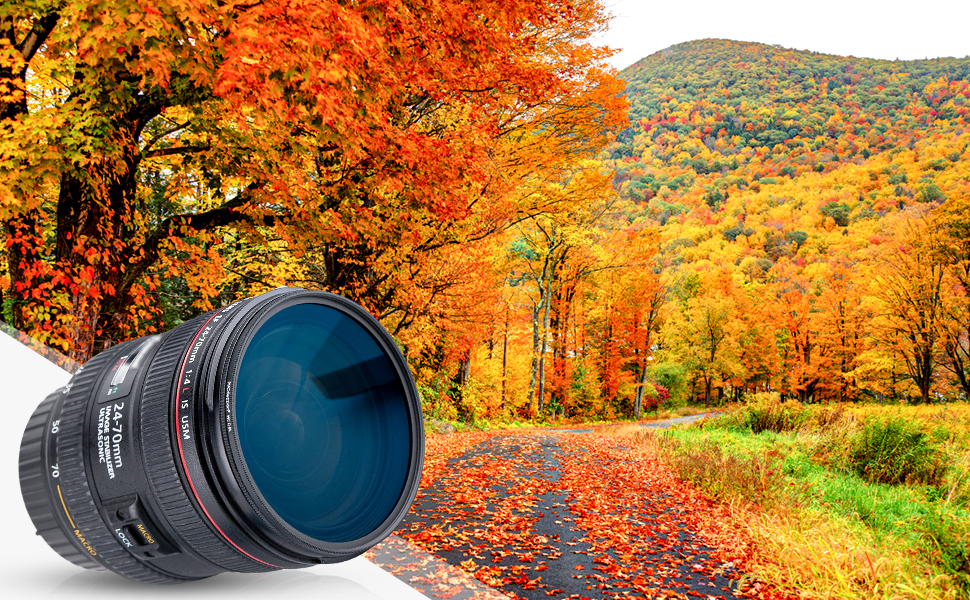 Фільтр UV PROfezzion Slim 58mm для Canon EOS 2000D, 4000D, 1300D, 1200D, 850D, 800D, 760D, 750D, 700D, 650D, 600D, 550D, 500D, 250D, 200D з об'єктивом EF-S 18-55mm та іншими об'єктивами з різьбою 58mm