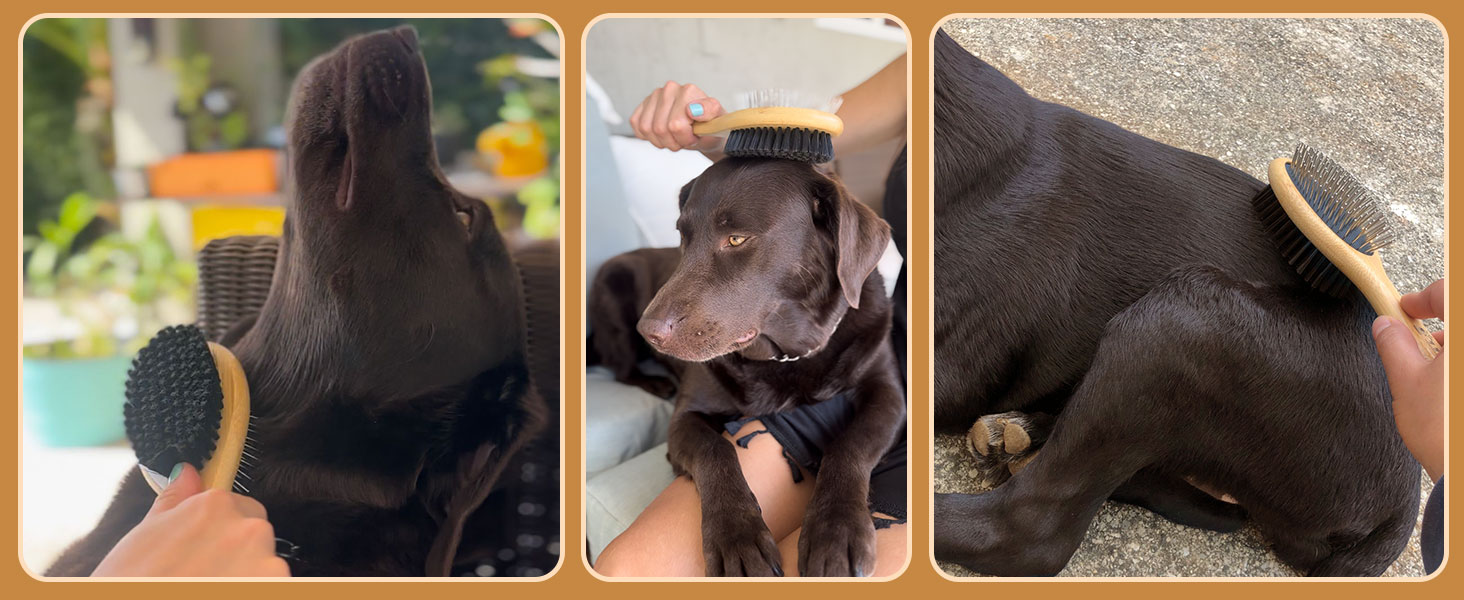 Щітка для собак та котів: для довгої та короткої шерсті, подвійна щітка, м'яка щітка для цуценят, собак та котів