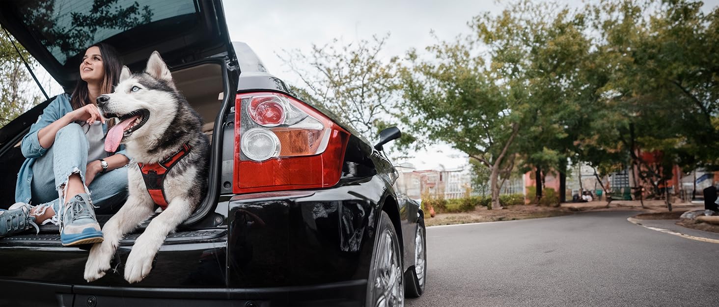 Захист для заднього сидіння авто для собак RAGI - водовідштовхувальний, 4в1, з ременями, антиковзаючий, для всіх авто