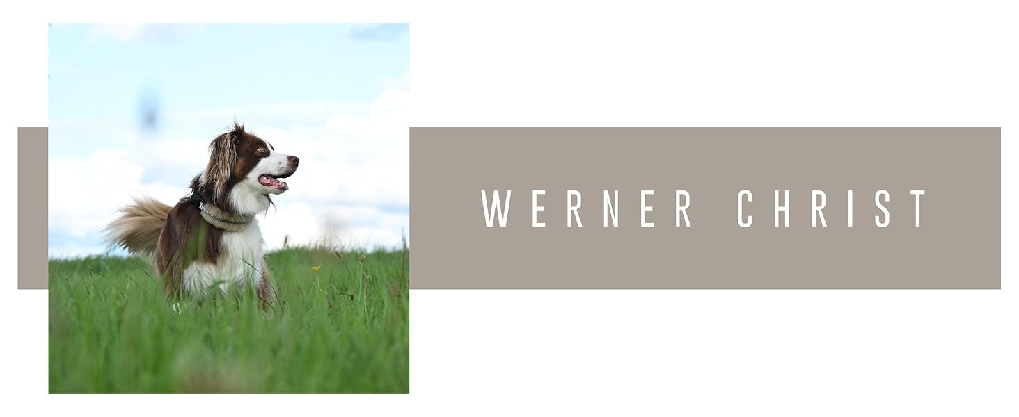 Інноваційний нашийник для собак Chris з ланолінової вовни, зменшує випадіння шерсті, з підкладкою, світловідбиваючий, регульований, для собак малого, середнього та великого розміру. Розміри: M (35-45 см), L (45-55 см), XL (55-65 см). Колір: кремовий