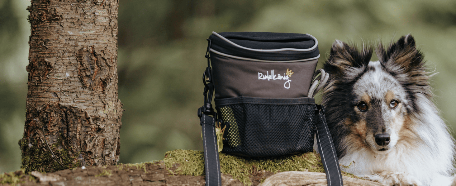 Сумка для ласощів для собак Rudelkönig - практична сумка для прогулянок та дресирування, з дозатором кульок, для підвішування, сірий колір