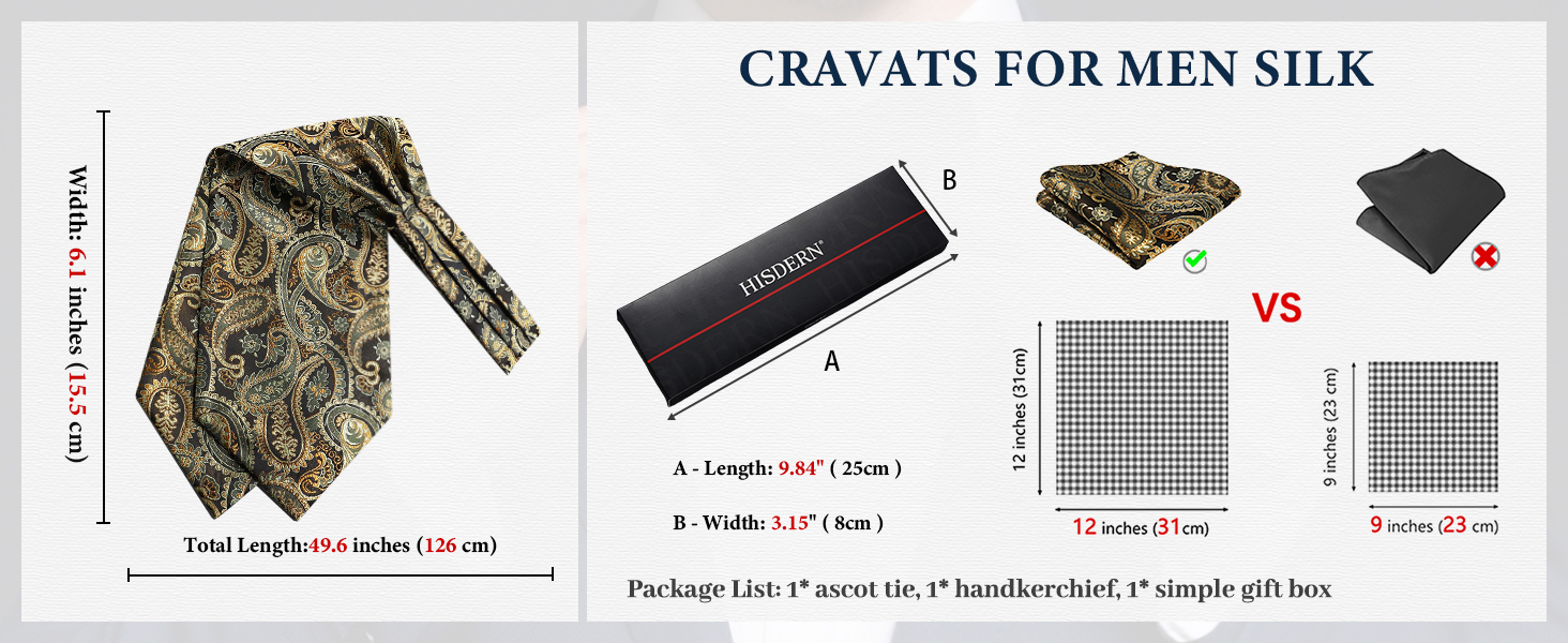 HISDERN Комплект краватка-снуд, краватка-аскот, хустинка для кишені чоловіча Paisley сіра/срібна для весілля та бізнесу