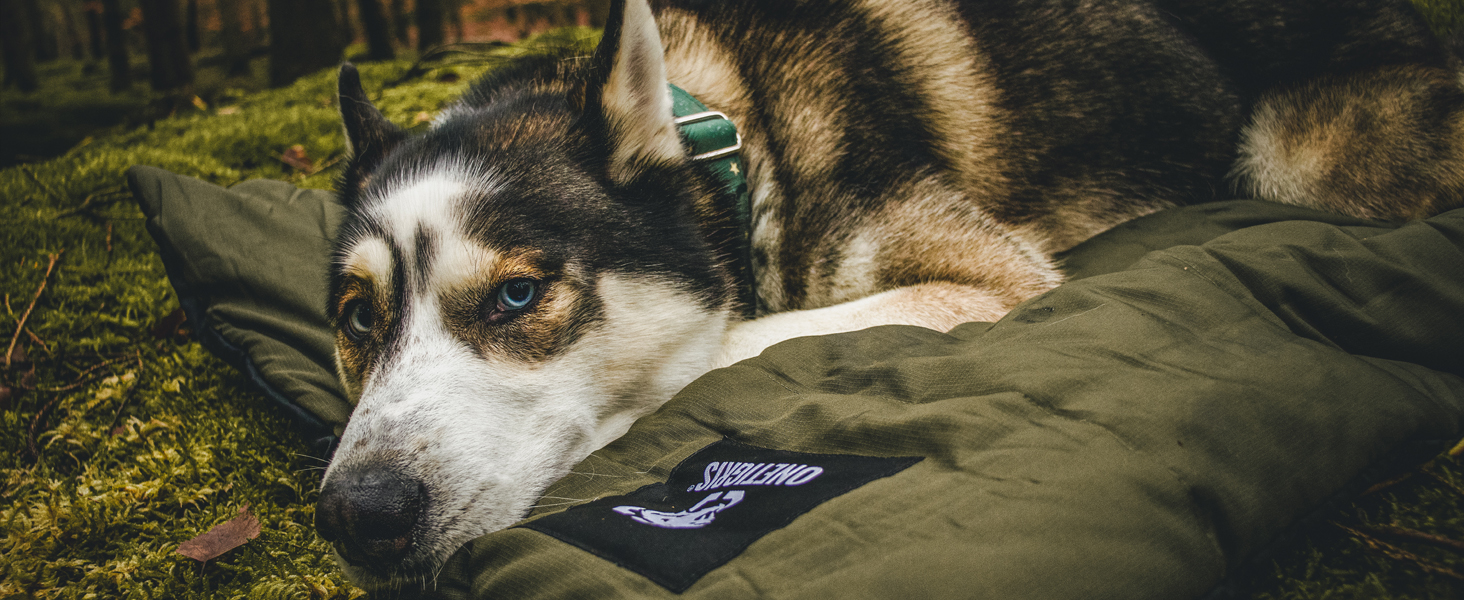 OneTigris Dog Blanket 110 x 68cm Washable, Dog Mat Comfort and Soft Waterproof Dog Bed, Dog Cushion for Travel Camping Outdoor - Olive Drab