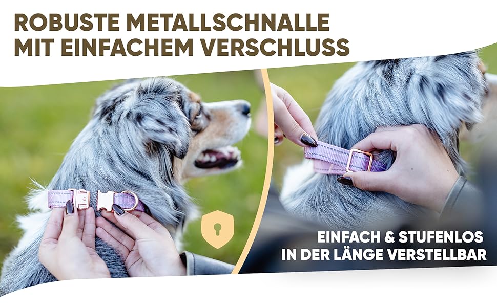 Водонепроникний нашийник для собак Leuchthal – з регульованим нейлоновим ремінцем та світловідбиваючим металевим затвором, 40-65 см, для великих собак, яскравий, з флуоресцентним швом