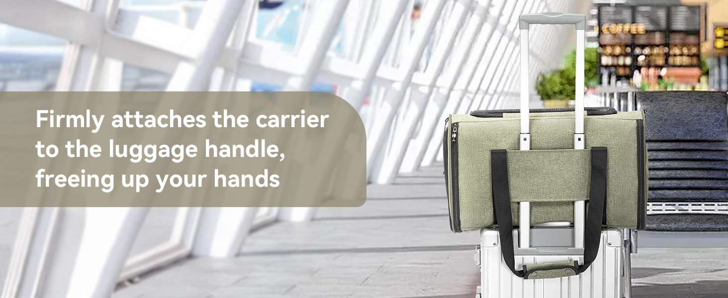 Транспортний бокс для кота/собаки Petsfit - складаний, зелений, M