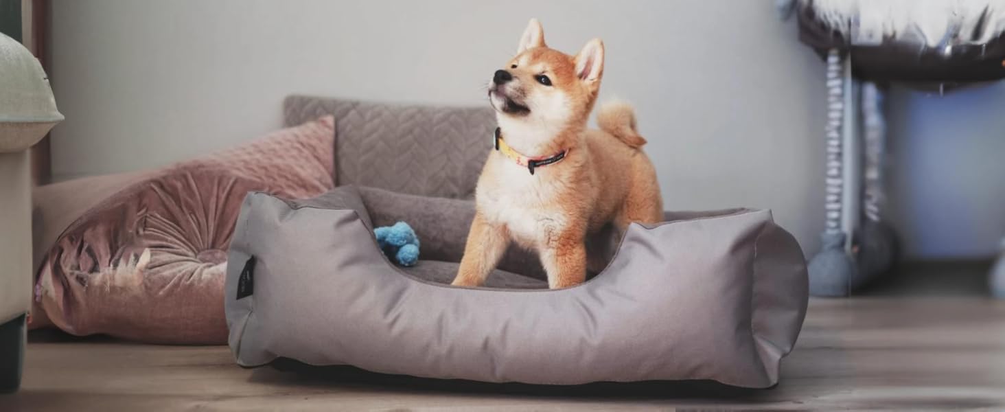 Лягушкове ліжко для собак BedDog Zara, м'яке ліжко-подушка для собак знімним та пральним чохлом, кошик для собак, собаче ліжко-диван, для маленьких собак, S L 70 x 55 x 18 см, світло-пісочний (світло-бежевий)